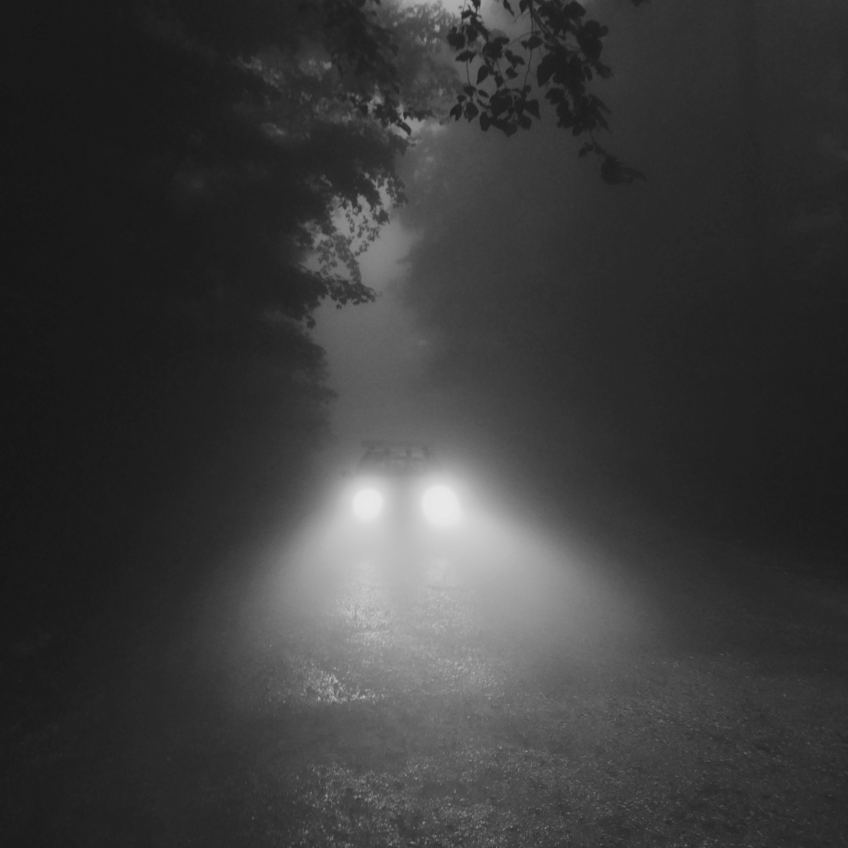 Car headlights cutting through thick fog on a dark forest road at night, creating an eerie and suspenseful atmosphere for mystery and thriller book lovers.