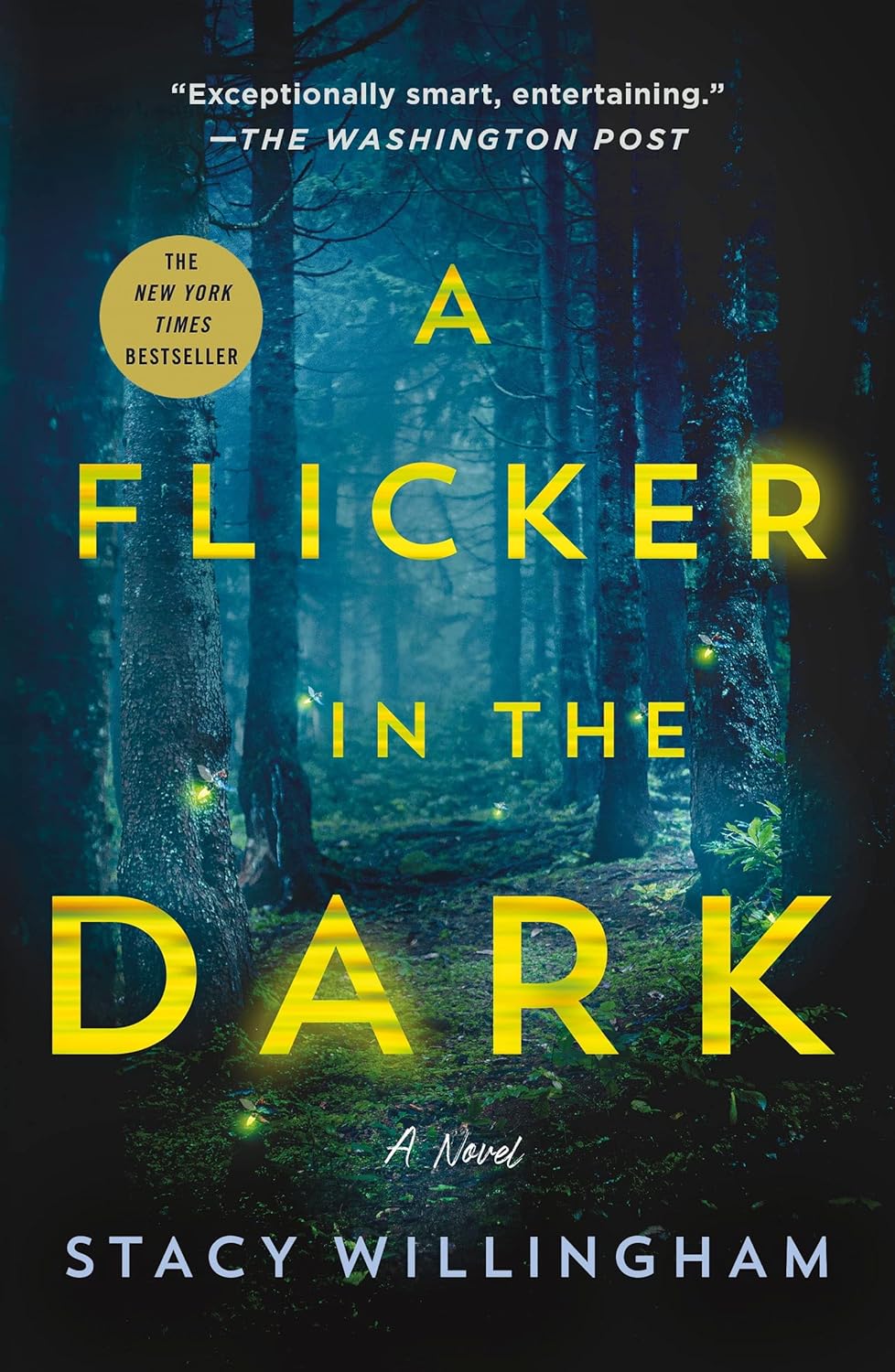 A Flicker in the Dark by Stacy Willingham | Southern Gothic Thriller, Buried Secrets & Twists in the Dark