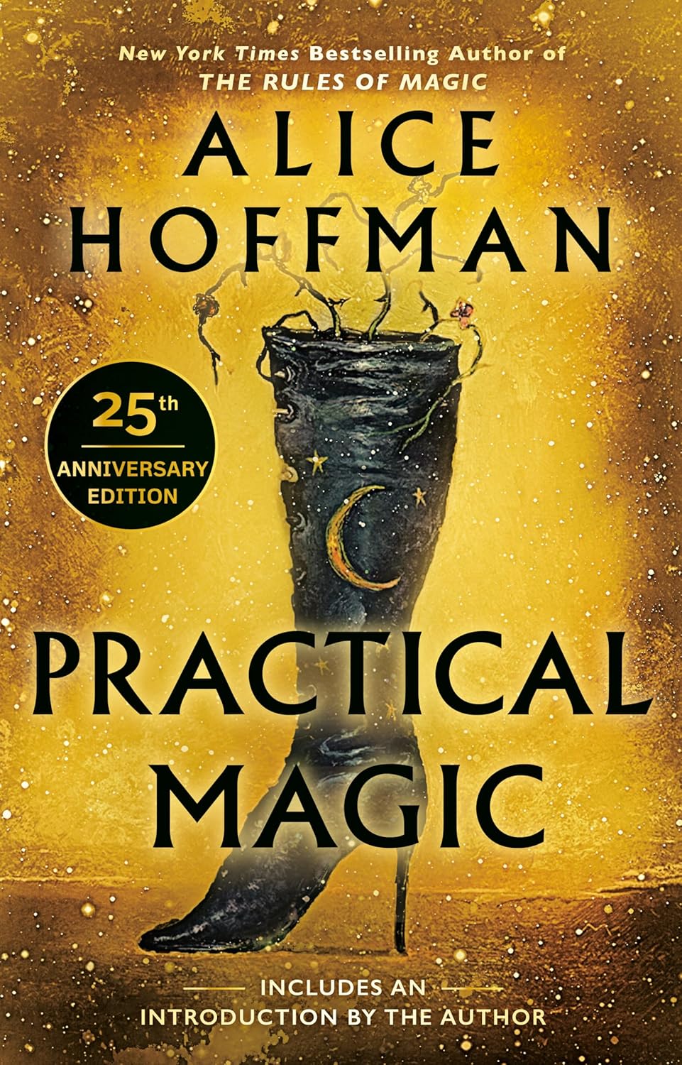 Practical Magic by Alice Hoffman | Classic Witchy Fiction, Family Saga & Magical Realism
