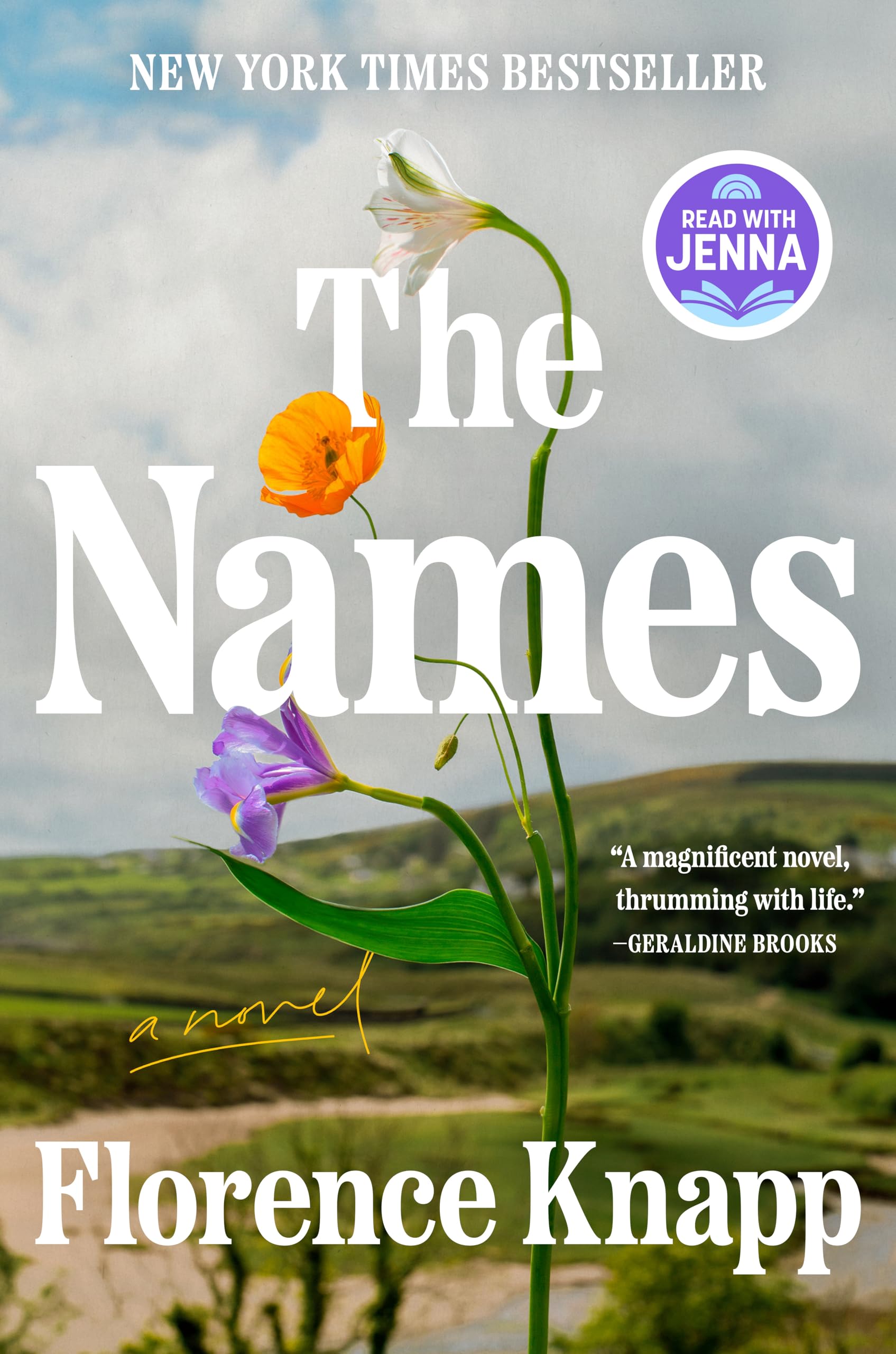 Book cover of 'The Names' by Florence Knapp with a scenic background