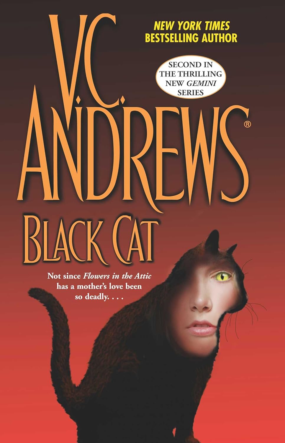 Black Cat by V.C. Andrews | Gothic Family Saga, Dark Secrets & Twin Drama