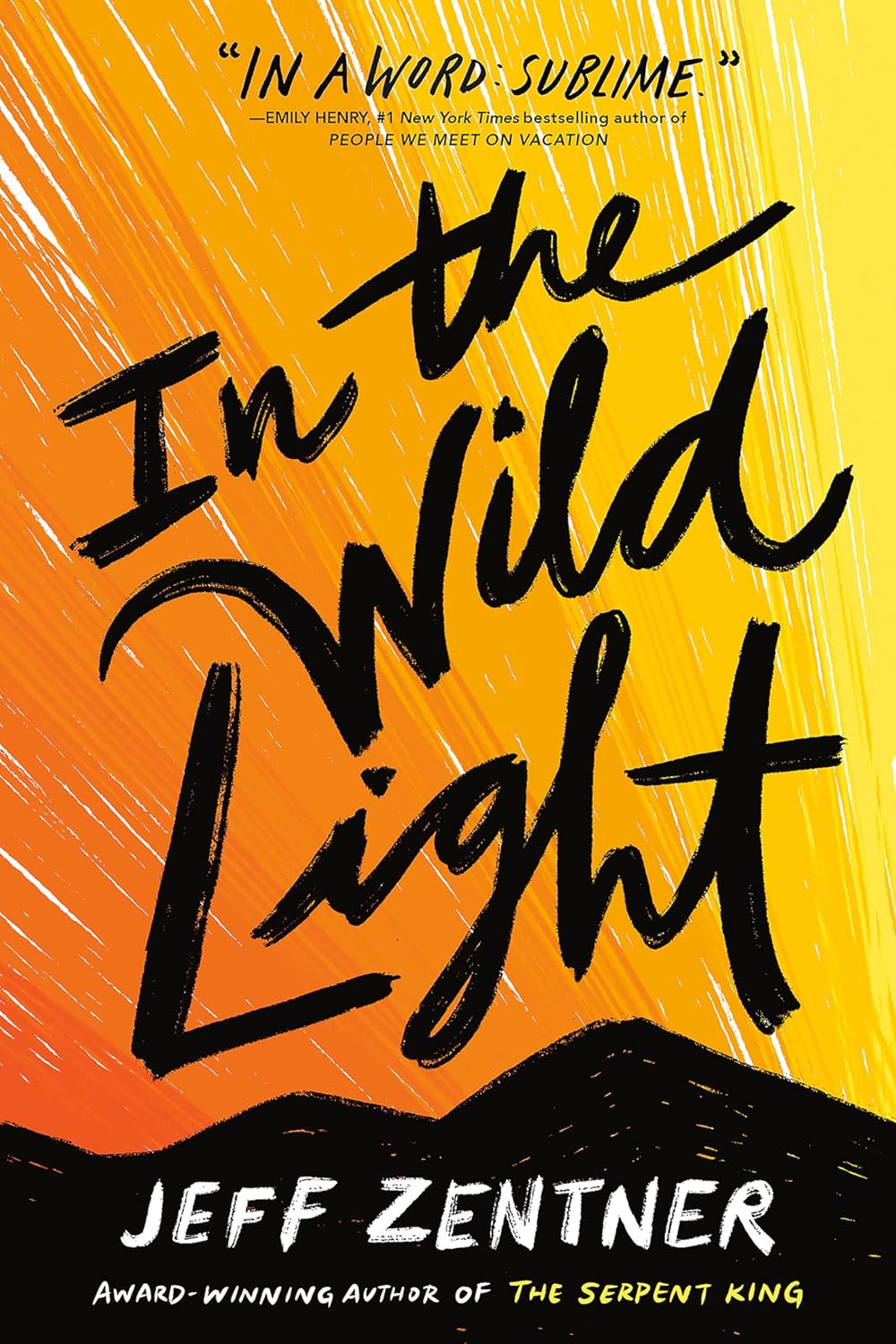 In the Wild Light by Jeff Zentner | YA Contemporary, Friendship & Finding Hope